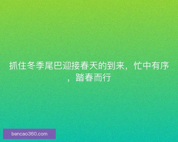 抓住冬季尾巴迎接春天的到来，忙中有序，踏春而行