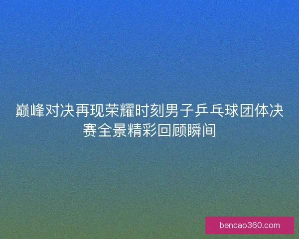巅峰对决再现荣耀时刻男子乒乓球团体决赛全景精彩回顾瞬间