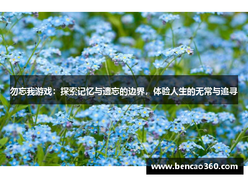 勿忘我游戏:探索记忆与遗忘的边界,体验人生的无常与追寻