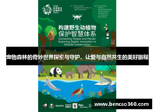 宠物森林的奇妙世界探索与守护,让爱与自然共生的美好旅程