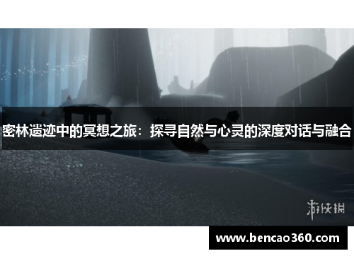 密林遗迹中的冥想之旅:探寻自然与心灵的深度对话与融合