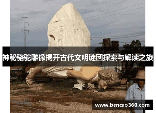 神秘骆驼雕像揭开古代文明谜团探索与解读之旅