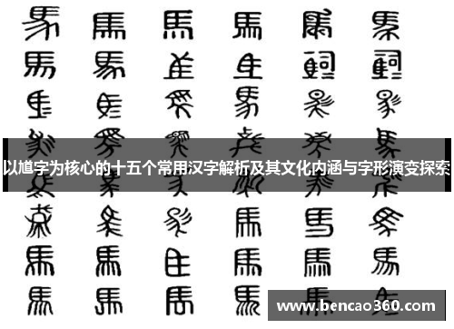 以馗字为核心的十五个常用汉字解析及其文化内涵与字形演变探索